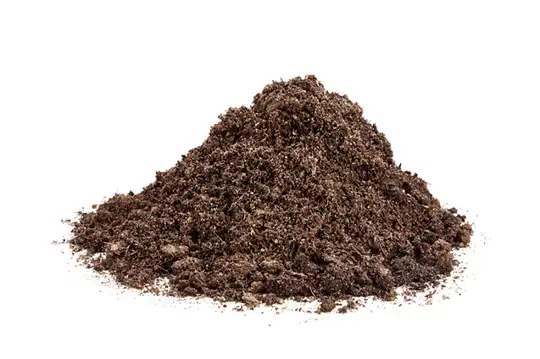 Rhododendron spagnum (1000 liter)