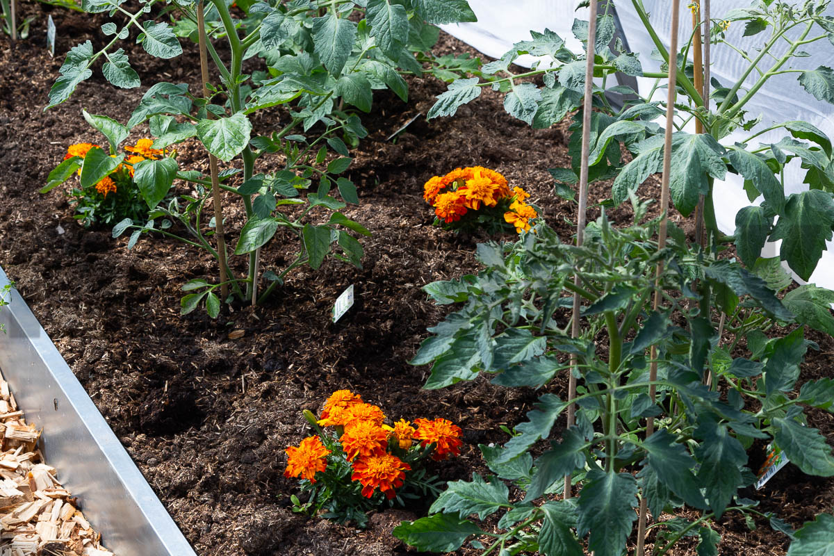 Drivhus jord (1500 liter)