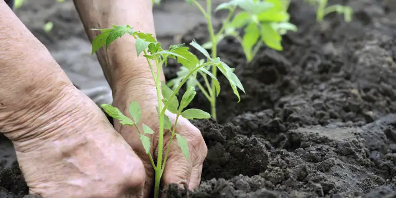 Gratis fragt ✔ • Ingen gebyrer ✔ • Mængderabat ✔