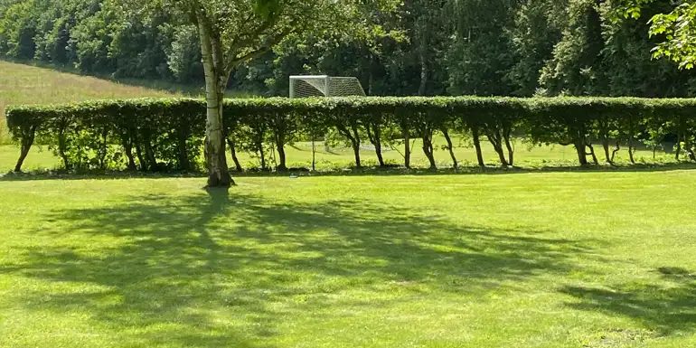 Gratis fragt ✔ • Ingen gebyrer ✔ • Mængderabat ✔